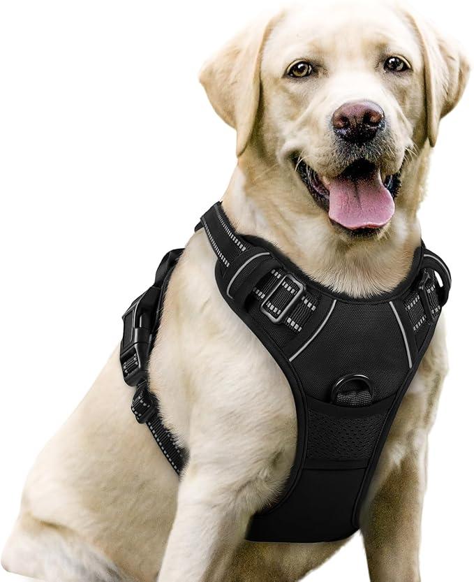 Rabbitgoo, MuTTravel Comfort Zone No-Pull Dog Harness with 2 Leash Attachments, Reflective and Padded for Training and Everyday Medium Rabbitgoo, MuTTravel Comfort Zone No-Pull Dog Harness with 2 Leash Attachments, Reflective and Padded for Training and Everyday Medium