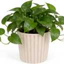 Ekirlin 7 Inch Indoor Plant Pot, Natural Resin Modern Planters, Graceful Curves Textures Garden Pot with Drainage Hole, Removable Rubber Stopper and Non-Slip Soft Pad, Decorative Pot for Home/Outdoor