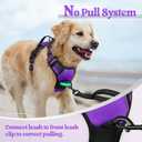 Rabbitgoo Dog Harness No Pull with 2 Leash Clips, Adjustable Soft Padded, Reflective Oxford No Choke Pet Vest with Easy Control Handle for Medium Sized Dogs, Purple, M