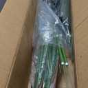 Aveyas 6ft Artificial Bird of Paradise Tree for Home Decor, 6 Feet Faux Floor Plant Fake Silk Banana Leaf Tropical Trees with Pot for Indoor Outdoor House Living Room (6 ft Tall)