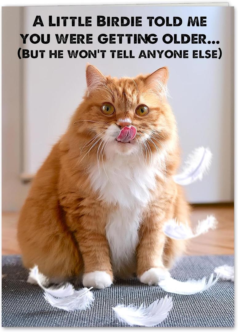 4 x Funny Cat Birthday Cardfor Women, Men, Coworkers, Friends & Family plus Free bonus Postcard included - a little birdie told us you're a year older