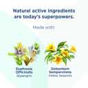 Hylands Baby Tiny Cold Tablets, Day and Night Value Pack, Infant and Baby Cold Medicine, Decongestant, Runny Nose and Cough Relief, 250 Quick-Dissolving Tablets