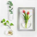 Glass Wall Hanging Planter Terrarium with Photo Frame Plant Propagation Station Glass Flower Vase for Hydroponics Plants, 3 Different Shape Sage Green Frame