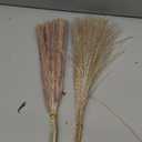 Dried Pampas Grass Decor, 100 Stems Bouquet with Bunny Tails & Reed Grass, Boho Dried Flowers for Wedding, Home Table Centerpieces, Rustic Farmhouse Party Decorations