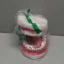 Teeth Mouth Model 6X Enlarged with Metal Hinge, Complete Set Teeth and Removable Tongue, PVC Speech Therapy Tool, Includes Toothbrush, Ideal for Brushing Teaching Dental Model and Language Education