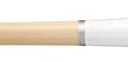 Mizuno Pro Fungo Softball Bat, 34 inch