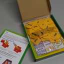 Think Fun Zingo! Sight Words Boost - Engaging Brain Game | Expansive Vocabulary Builder | Stimulates Memory & Concentration | for Kids Aged 4 and Up | Expansion Pack (76472)