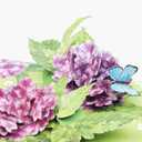 2 x Liif Hydrangea Blossoms Butterfly 3D Greeting Pop Up Mother's Day Card, Spring, Summer, Anniversary, Fathers Day, Get Well, Thinking Of You,With Message Note & Envelop,Large Size 8x6 Inch (Purple & Pink)