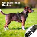 No Pull Dog Harness with Handle, Soft Mesh Padded Adjustable for Dogs | Reflective Easy Walk Harness with Front Clip for Training, Running & Outdoor (Ranger Green, XL)