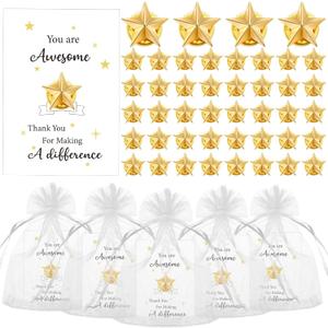Nosiny 50 Set Star Pins Employee Appreciation Gift Include Star Badge Lapel Pins Bulk Inspirational Greeting Cards and Bag Thank You Back to School Gift for Student Teacher Nurse Women Team Volunteer