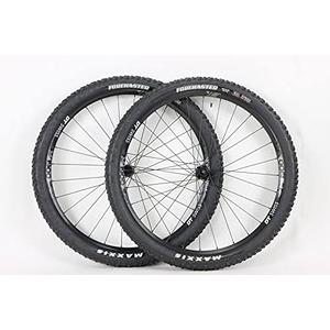 29 inch DTS DT Swiss M1900 S12 Microspline Centerlock 29er Wheel Set with Forekaster 29 x 2.35 Tire and Tubes!