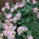 150 x Ovveroche 150 Pcs Artificial Roses Long Stem Silk Flowers Light Pink