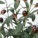 SzJias Olive Branches for Vases Artificial Olive Branches Faux Tree Branches Stems for Vase (3 Branches, 28.7 inch/Each)