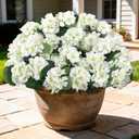 8 Pcs 17" Artificial Geranium Flowers for Outdoors, Fake Silk Flowers UV Resistant Realistic Faux Geranium Plants for Front Porch Door Garden Yard Window Planters Outside Home Decor, White