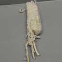 Bleached Hanging Amaranthus - 5 Stems - Natural Dried Flowers