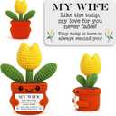 Mini Crochet Tulip Gifts for Wife, Wife Gift from Husband Handmade Tulip for Anniversary Birthday Valentines Day Mothers Day Just Because, Cute Encouragement Gift for Her Desk Decor
