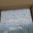 Pampers Training Pants - Easy Ups Boys & Girls Bluey - Size 3T-4T, 66 Count, Children's Potty Underwear