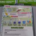 3 x PAAS Rockin' Robin Egg Decorating Kit