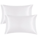 EHEYCIGA Satin Pillowcase Queen Set of 2, Soft Pillowcases for Hair and Skin Similar to Silk, White Pillow Cases 2 Pack with Envelope Closure, 20X30 Inches