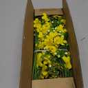 Artificial Flowers 8PCS Silk Flowers with Long Stems, Fake Flowers Bulk Fake Babys Breath, Yellow Flowers for Tall Vase Outdoor Garden Wedding Party Home Table Centerpiece