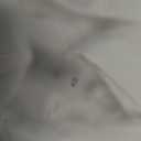 Tempt Me Women Low Rise Bikini Bottoms - Moderate Coverage Bathing Suit Bottoms Low Waisted Swimsuit Bottoms Brief 2025 (X-Small, White)