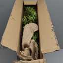 22" Spring Easter Wreath for Front Door - Easter Bunny Wreath - Artificial Green Boxwood Wreath with Burlap Bow & Sisal Bunnies - Spring Easter Holiday Decor for Home Door, Porch, Wall,Window