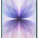 4 x Mr.Shield Screen Protector compatible with iPhone 17 / iPhone 17 Pro [6.3 Inch] [Tempered Glass] [3-PACK] [Japan Glass with 9H Hardness]