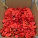 Auihiay 104PCS Hydrangea Artificial Flowers, Red Artificial Hydrangea Flowers Heads with Stems, Faux Hydrangea Flowers for Home Decor Wedding Bouquets Centerpieces