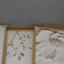 JLTULT 3 Piece Framed Neutral Beige Floral Canvas Wall Art, Modern Simple Texture Blossom Wall Decor, Vintage Botanical Flower Art Prints for Living Room Bedroom Farmhouse 12x16 inch Ready to Hang