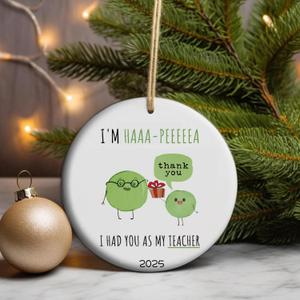 Teacher Ornament  Unique Educator Gift for Christmas, Teacher Appreciation & Retirement  Cute School Themed Keepsake for Teachers Who Love Their Job (C17)