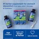 Mommy's Bliss Original Gripe Water, Gas and Colic Relief, Gentle and Safe, Made for Infants, 2 Weeks+, 8 Fl Oz, Exp 05/26 (2 Bottles)