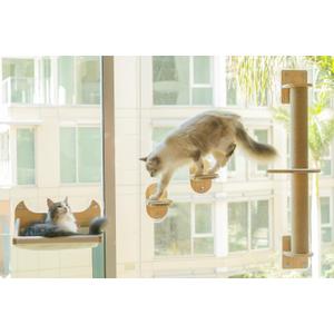 4-in-1 Window & Wall Mount Cat Wall Shelves  Hammock, Scratching Post & Perch | Fits up to 40 lbs | Space-Saving Pet Furniture for Windows, Glass & Drywall | Modern Wood Cat Shelf Set