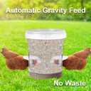 Chicken Feeder No Waste Automatic Poultry Feeder Ports Kit and Waterer Set
