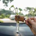 Cat Paw Car Vent Clip with Walnut Wood & Glass Test Tube, Cute Aesthetic Car Decor Accessories for Women, Girly Dashboard Decoration, Plant Holder for Car Interior Decor