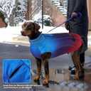 Doglay Waterproof Dog Coat, Reflective Dog Winter Jacket with Pocket & Turtleneck, Warm Puppy Snow Jacket for Small Medium Large Dogs - Gradient Blue Purple Pink, S