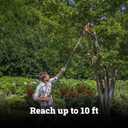 WORX Pole Saw, 8 Amp 10" Electric Pole Saw, Up to 10 ft., 28 ft/s chain speed
