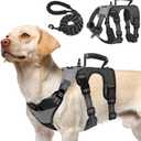 PUPTECK Escape Proof Dog Harness and Leash Set Upgraded No Pull Reflective Dog Vest with Lift Handle, Easy Control Pet Harness for Medium Large Dogs Training Walking Running (Grey/Black), XL