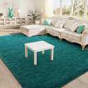 BENRON Fluffy Rugs for Living Room 5x8 Teal Green, Washable Large Area Rugs for Bedroom Dining Table Office Kids Nursery Room, Washable Indoor Floor Carpets, Size: 5' x 8' (Rectangular)