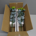 2 Pack Wood Glass Wall Vases and Plants Artificial, Indoor Wood Hanging Vase, Modern Farmhouse Wall Decor for Bathroom Office and Living Room, Farmhouse Sconces Wall Decor (White)