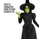 Morph Witch Costume Women, Womens Witch Costumes For Adults, Costumes For Women, Womens Halloween Costume (Medium)