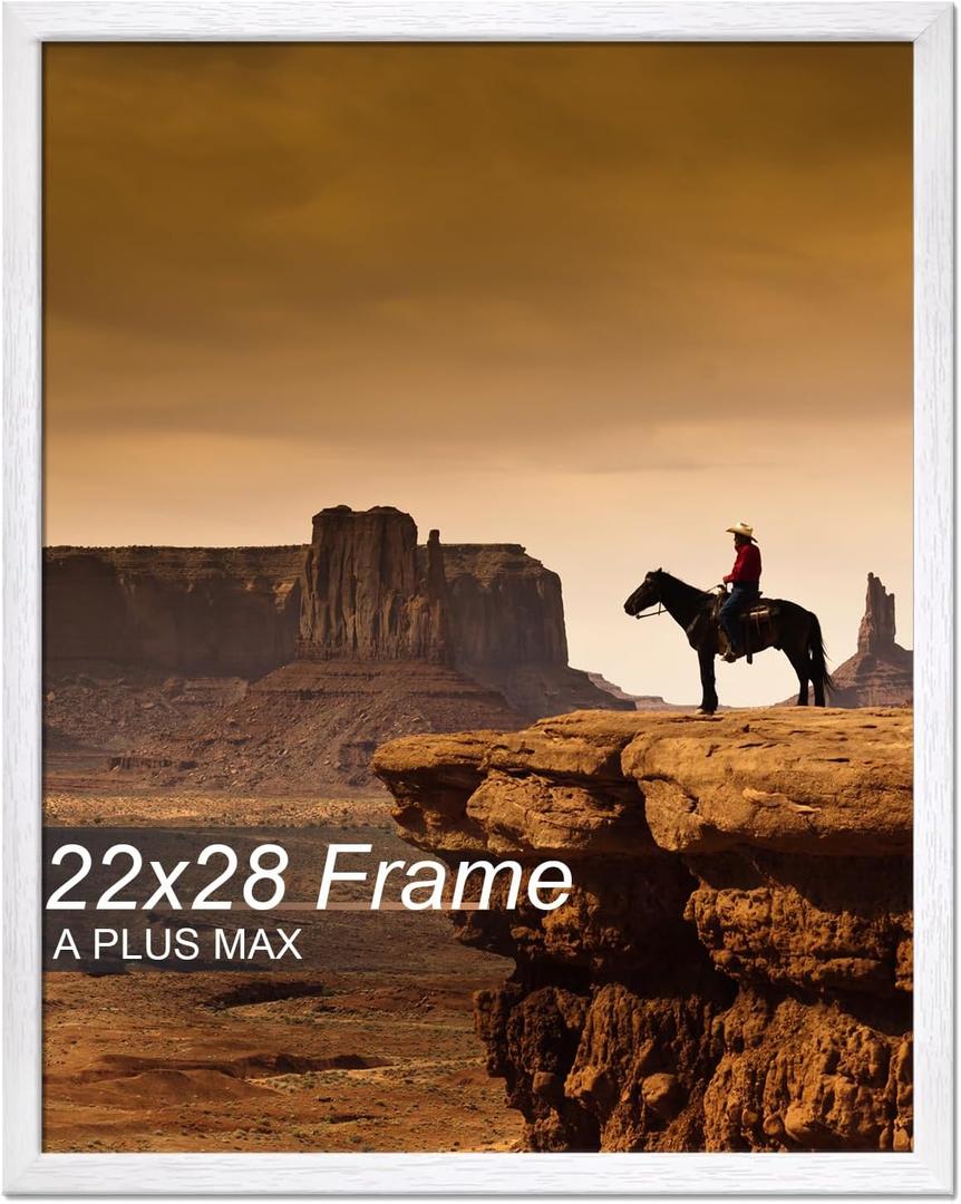A PLUS MAX 22x28 Picture Frame White Light Weight Wall Mount