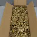 15 Pcs Gold Glitter Artificial Cedar Sprigs Picks Faux Cedar Branches Stems Christmas Tree Picks Sprays 15.4" H for Gold Christmas Tree Wreath Wedding Bouquet Winter Seasonal Holiday Decoration