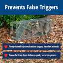 HAVAHART 1079SR Large 1-Door Humane Catch and Release Live Animal Trap Cage - Live Raccoon Trap, for Bobcats, Beavers, Dogs, & More