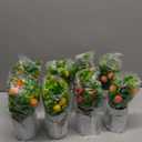 Dandat 8 Pieces Artificial Fruit Plants with Vase Strawberry Centerpieces for Tables Fake Lemon Orange Peach for Summer Kitchen Home Table Centerpieces Farmhouse Decoration