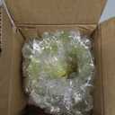 Silver Buffalo Pokmon Stained Glass Coffee Mug Featuring Pikachu, 17.5 Ounces