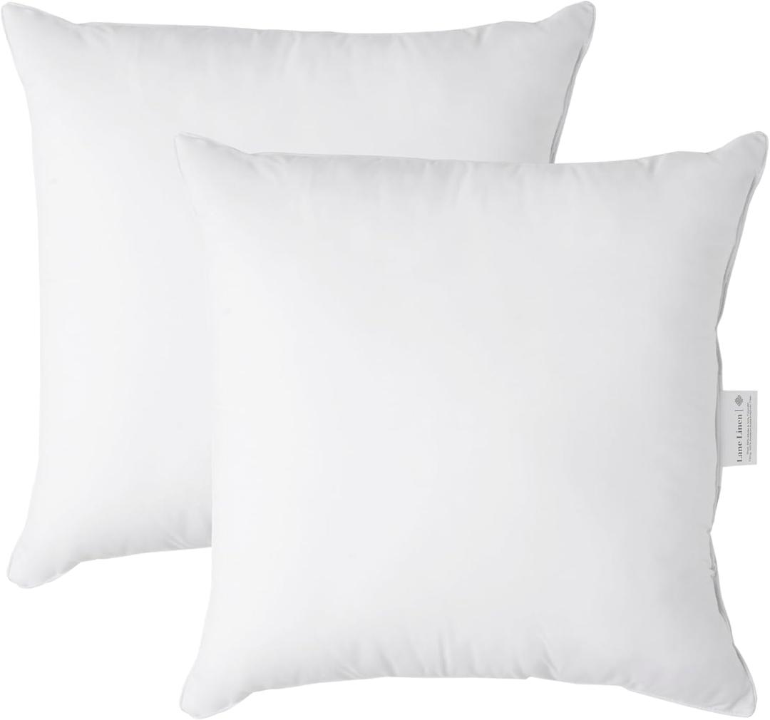 22x22 Pillow Insert - Pack of 2 White Decorative Pillow for Sofa Bed, Fluffy Inserts for Throw Pillows Covers for Bed,Euro Couch Pillows for Living Room