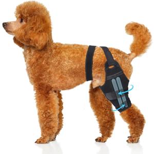 Adjustable Dog ACL Knee Brace  Rear Leg Support for Cruciate Ligament Recovery, Arthritis & Joint Pain Relief (Right,M)