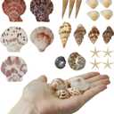 WEOXPR Mixed Sea Shells, 100+ Pcs Beach Seashells Starfish, Various Sizes Ocean Seashells for Fish Tank Vase Fillers, Beach Theme Party Wedding Decor, Candle Making, DIY Crafts