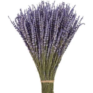 June Fox Dried Lavender Flowers 270-300 Stems 100 Natural Dried Lavender Bunches for Home Decoration, Home Fragrance, Handmade Soap Flower