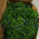 Biswing 50FT Pre-lit Christmas Green Garland, Lighted Artificial Pine Garlands with 100 Count Clear Incandescent Mini Lights, Light Up for Indoor Outdoor Gate Home Winter Holiday New Year Decorations (Warm White)